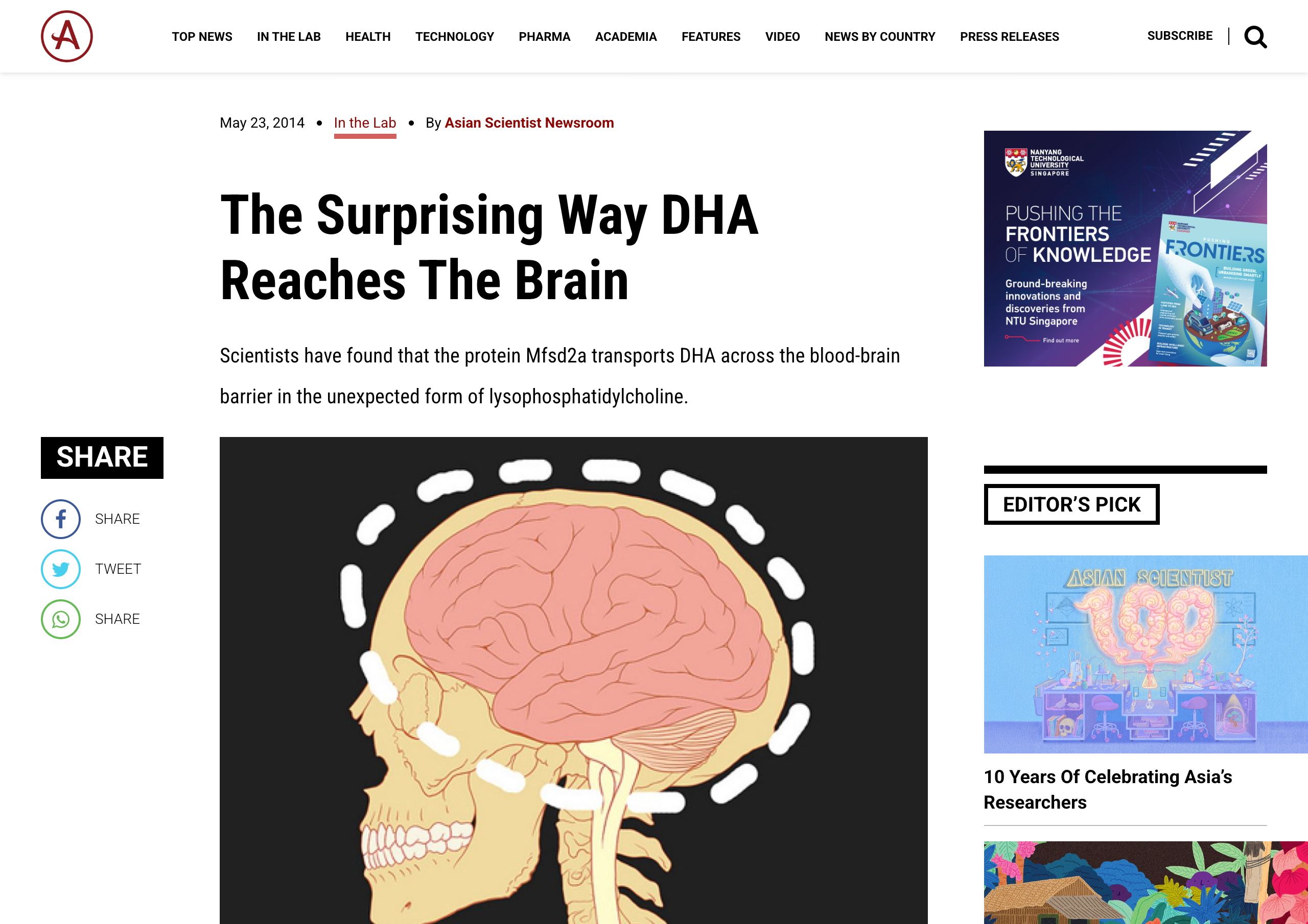 Screenshot of Asian Scientist article titled "The Surprising Way DHA Reaches The Brain" featuring an illustration of a human head showing brain anatomy